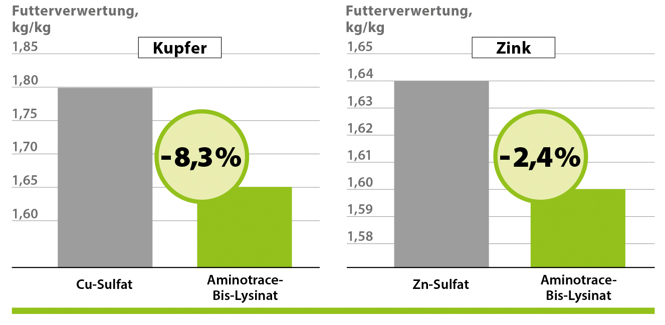 Aminotrace v krmive pre hydinu