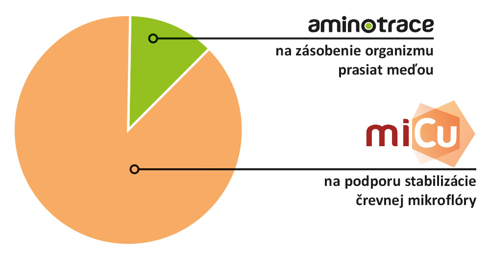 Optimálne zásobenie prasiat meďou