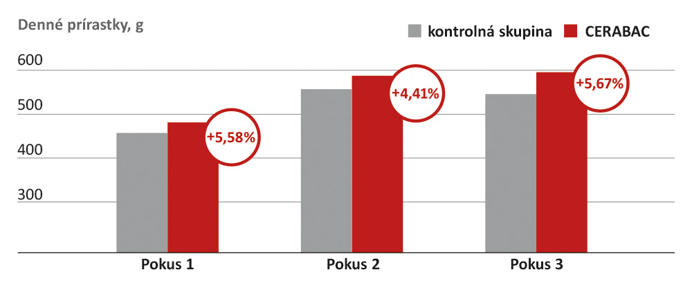 Vyššie denné prírastky s CERABAC