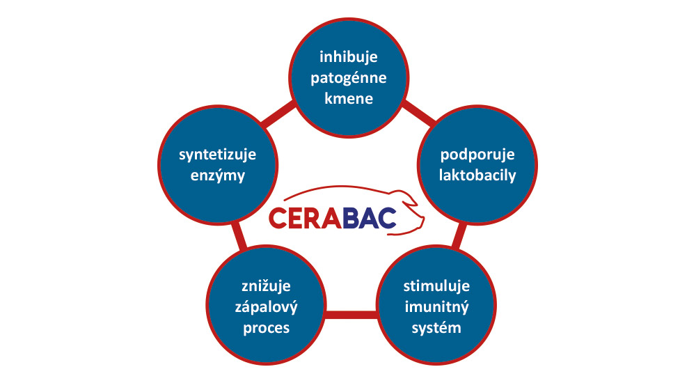 Účinky CERABACu