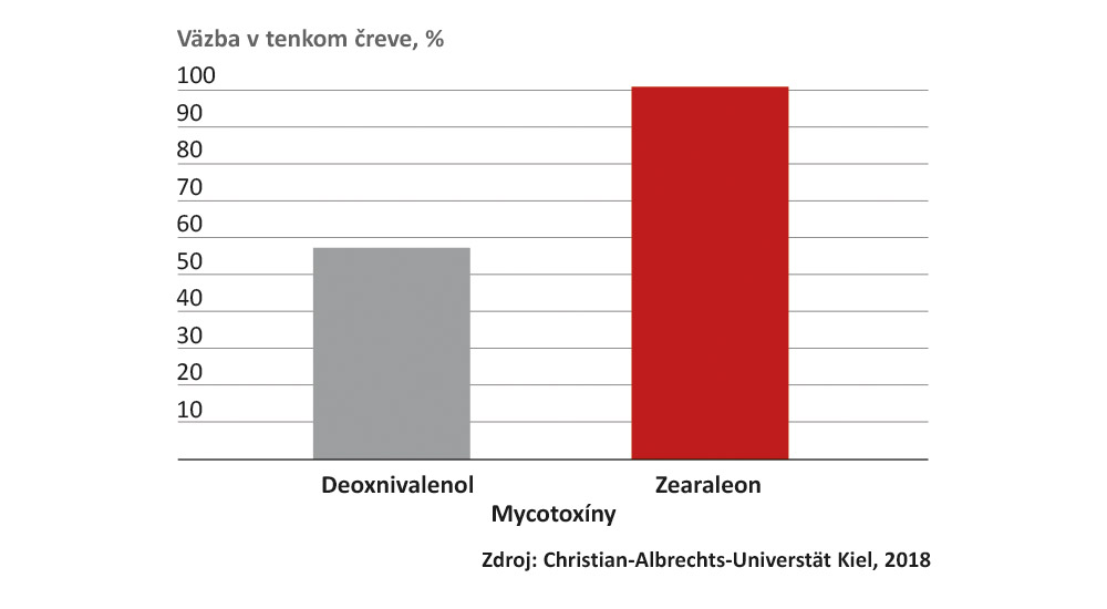 CERAGEL viaže mykotoxíny