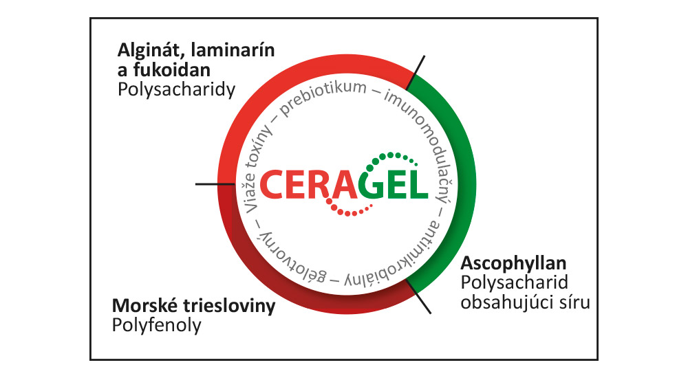 Účínné látky a účinok CERAGELu