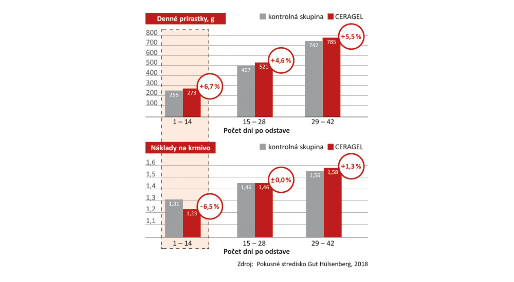 CERAGEL efektívne podporuje odstavčatá