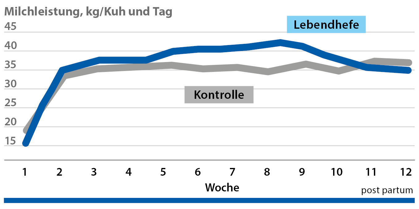 Milchleistung Mit ASS-CO FERM 