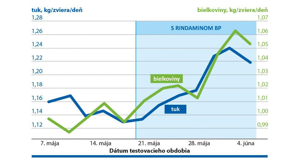 Praktické štúdie pravidelne potvrdzujú pozitívny vplyv RINDAMINU BP na mliečnu úžitkovosť.