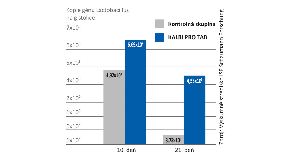 Baktérie mliečneho kvasenia v KALBI PRO TAB rýchlo a dlhodobo kolonizujú črevo.