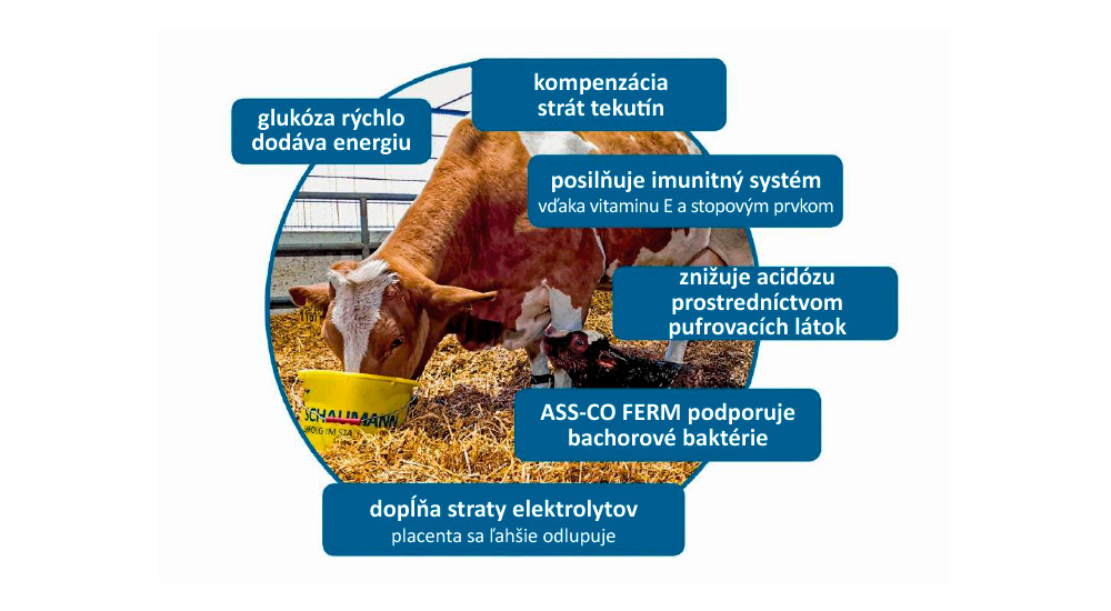 RINDAVITAL ENERGIETRUNK podporuje otelenie