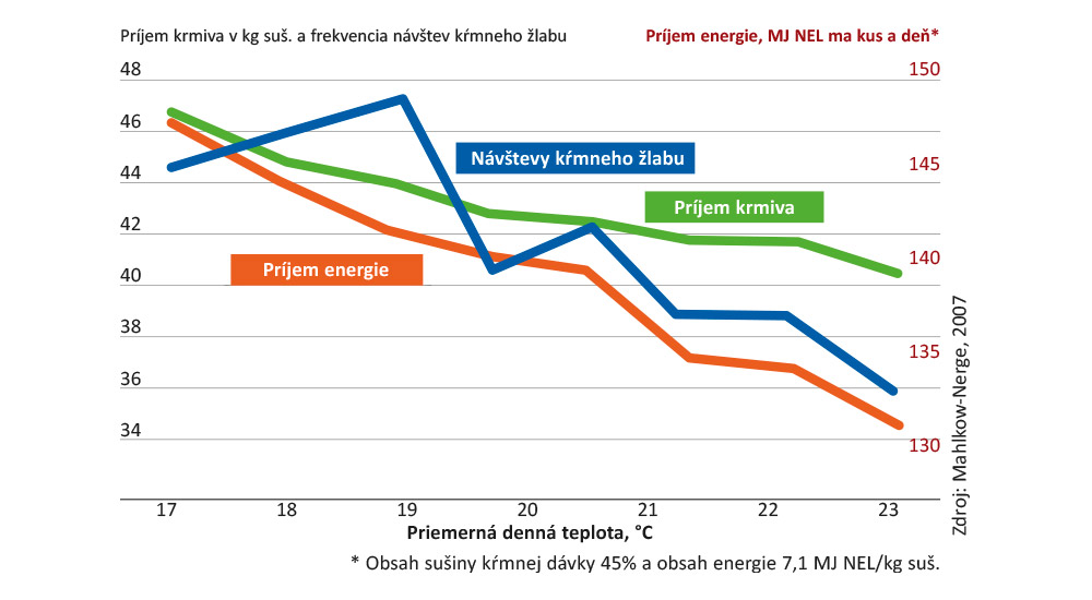 Príjem krmiva pri tepelnom strese