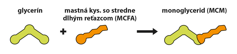 Strednoreťazcové mastné kyseliny a monoglyceridy (MCM)