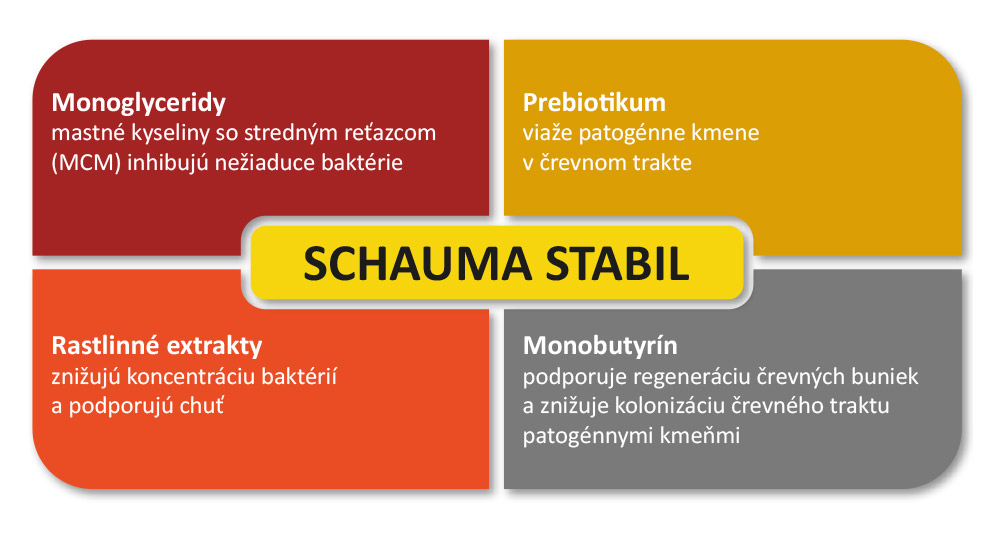 SCHAUMA STABIL