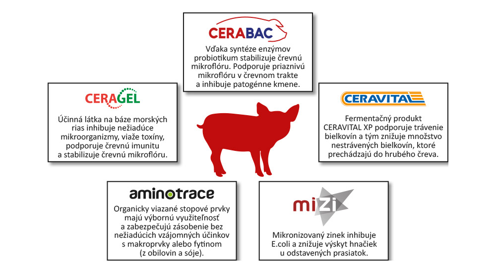 Synergický účinok účinných látok